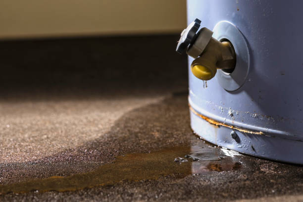 Best Ceiling water damage repair  in Ocean Grove, MA