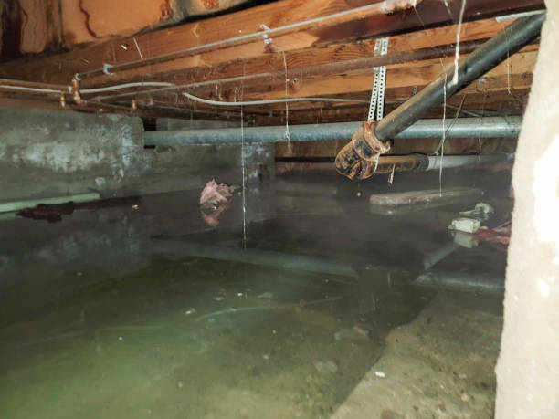 Best 24/7 water damage repair  in Ocean Grove, MA