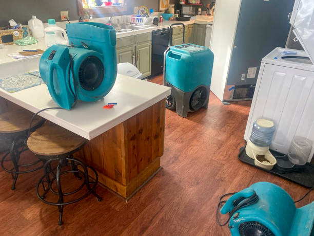 Best Flood damage cleanup  in Ocean Grove, MA